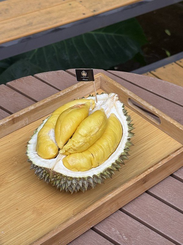 forest orchard café (2)