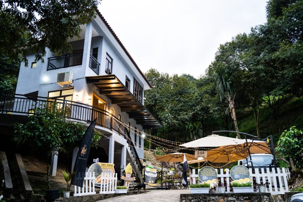 forest orchard café (9)
