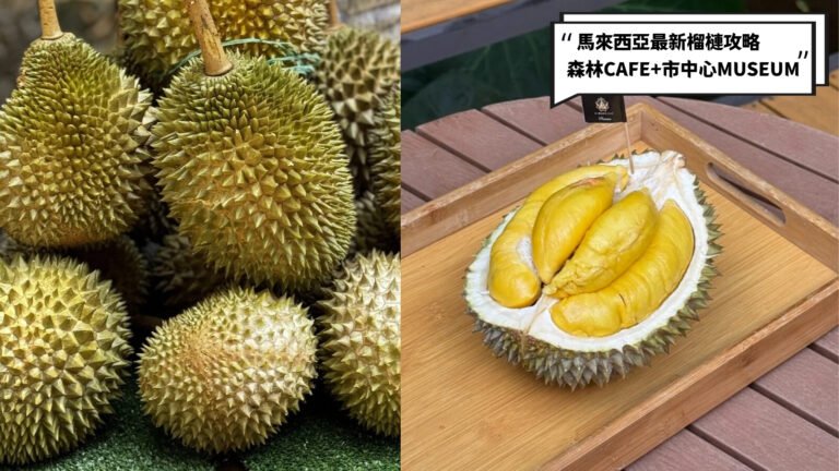 love malaysia durian 3