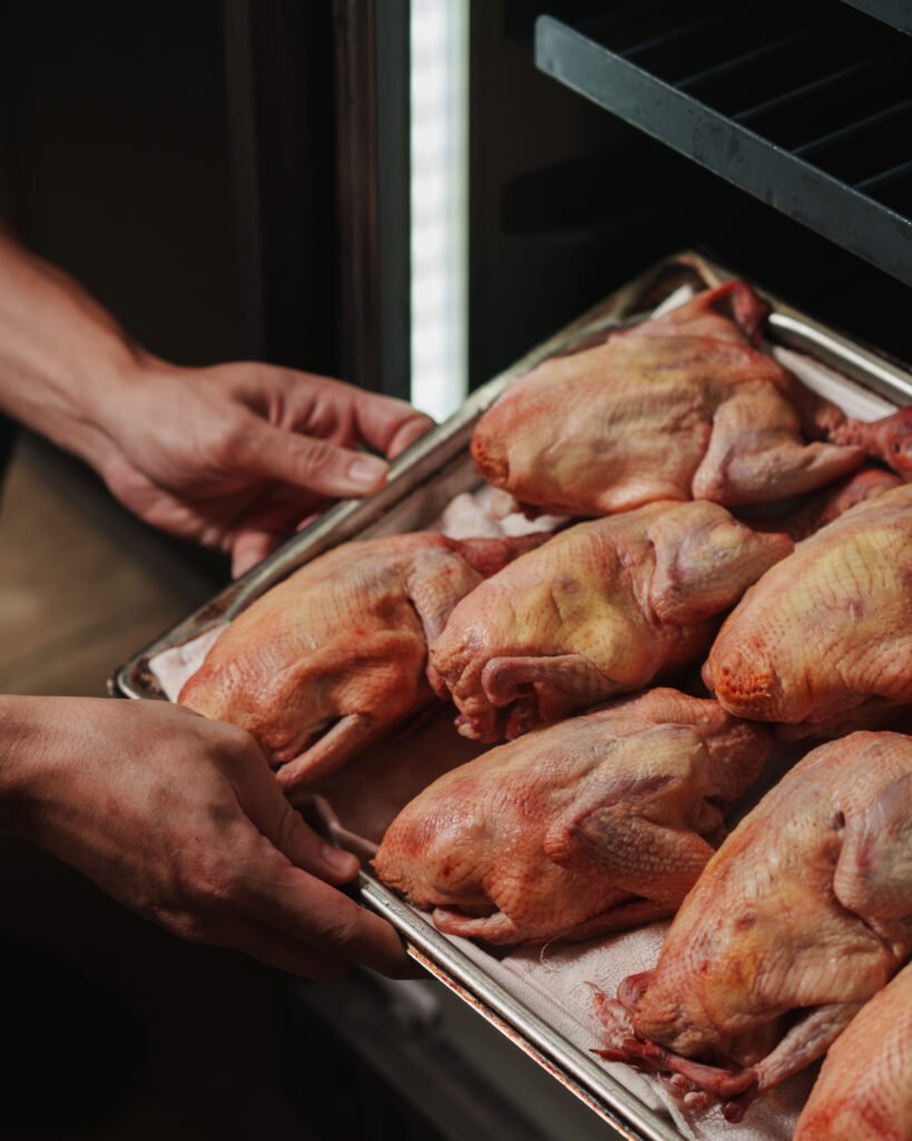 raw pigeon